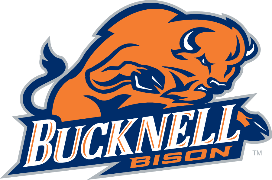 Bucknell Bison 2011-Pres Primary Logo diy iron on heat transfer